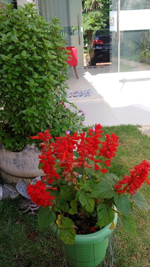 Casal Ostara Begonia Hotel Alto Paraíso de Goiás Buitenkant foto