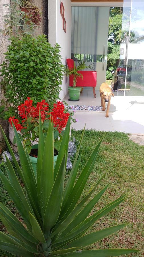 Casal Ostara Begonia Hotel Alto Paraíso de Goiás Buitenkant foto